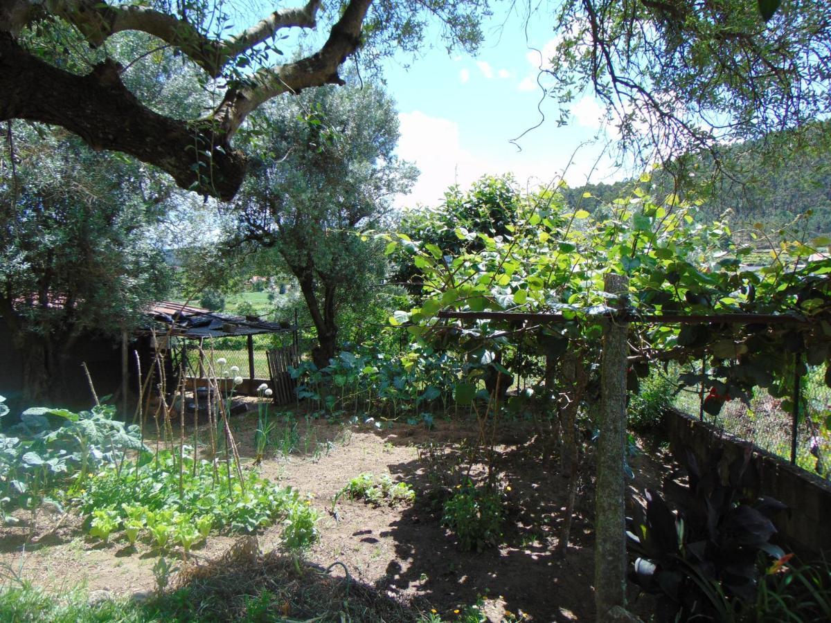 Casa Rebelo ξενώνας Cossourado  Εξωτερικό φωτογραφία
