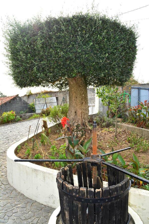 Casa Rebelo ξενώνας Cossourado  Εξωτερικό φωτογραφία