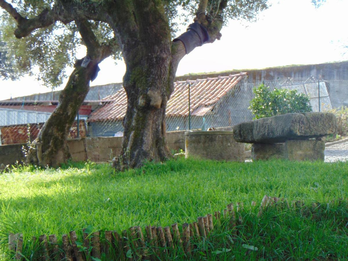 Casa Rebelo ξενώνας Cossourado  Εξωτερικό φωτογραφία